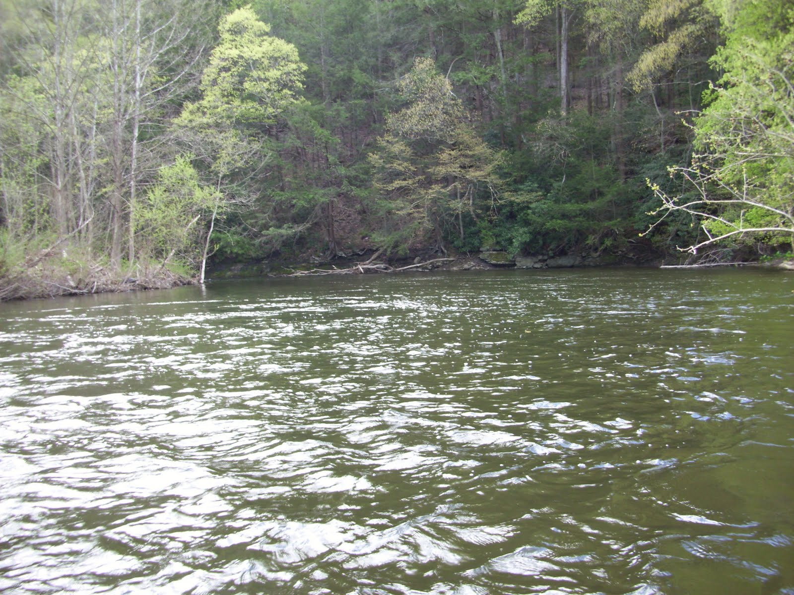 Pocono Fly Fishing 43011 (McMichael's Creek)