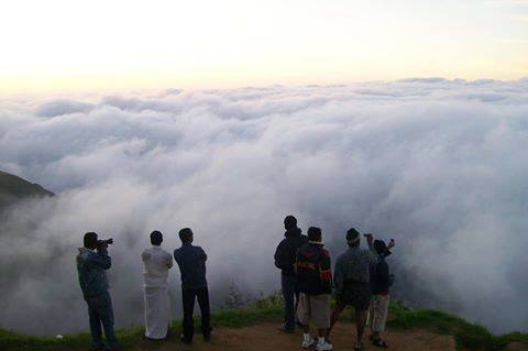 Imageresult for Munnar in monsoon