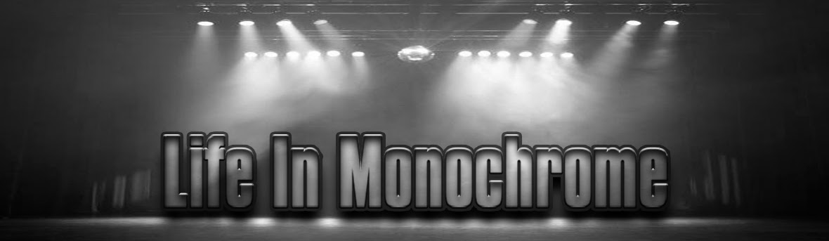 Life In Monochrome