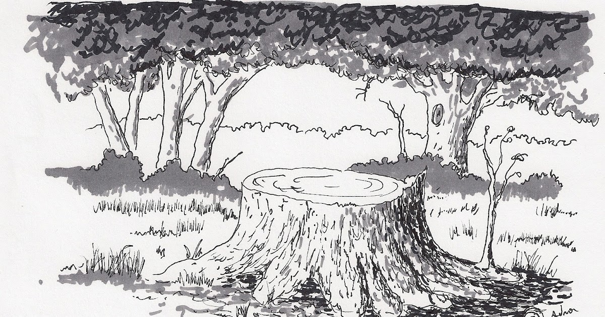 Scribble Drawing Lesson Plan : Adron s art lesson plans drawing a picture of tree