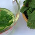 Anyone Whose Hair Is Falling Out Needs To Make This 2-Ingredient Drink Immediately