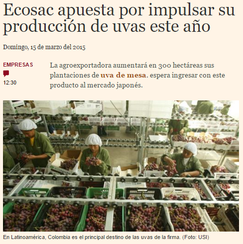 Uvas de mesa : Ecosac apuesta por impulsar su producción de uvas este año