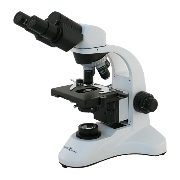Microscope World Blog High School Binocular Microscope