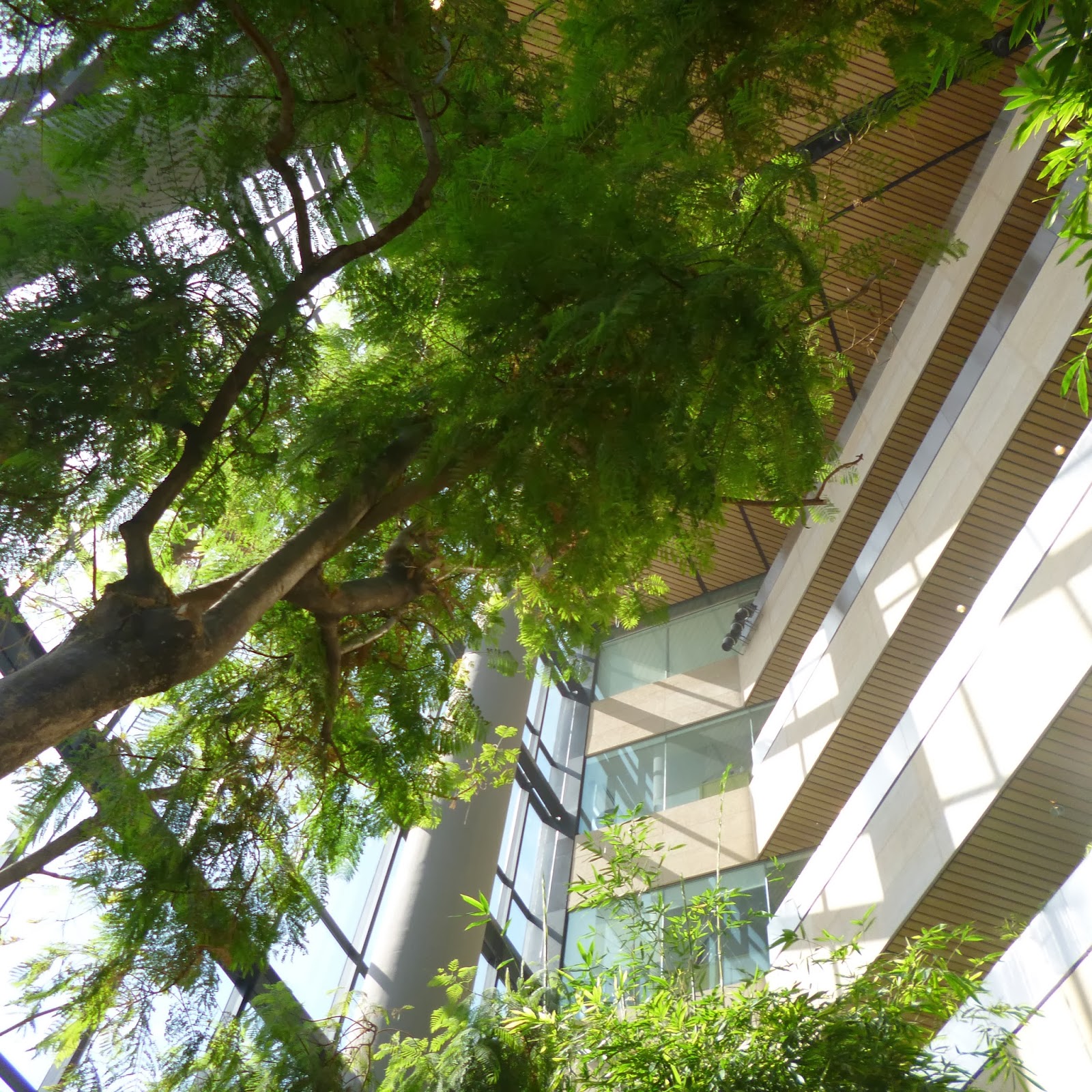 ARTUROPEDIA.....es la... BITÁCORA DE UN VIAJE RECORRIENDO PUERTO