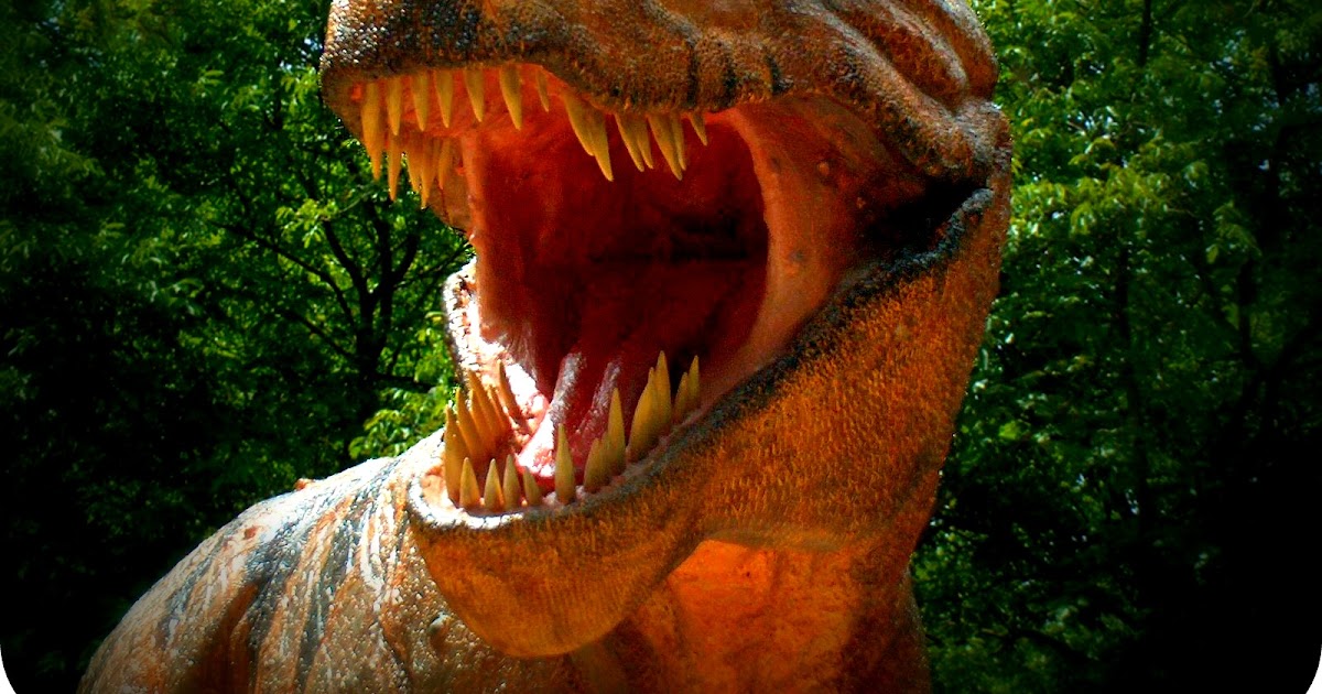 types of dinosaurs with feathers