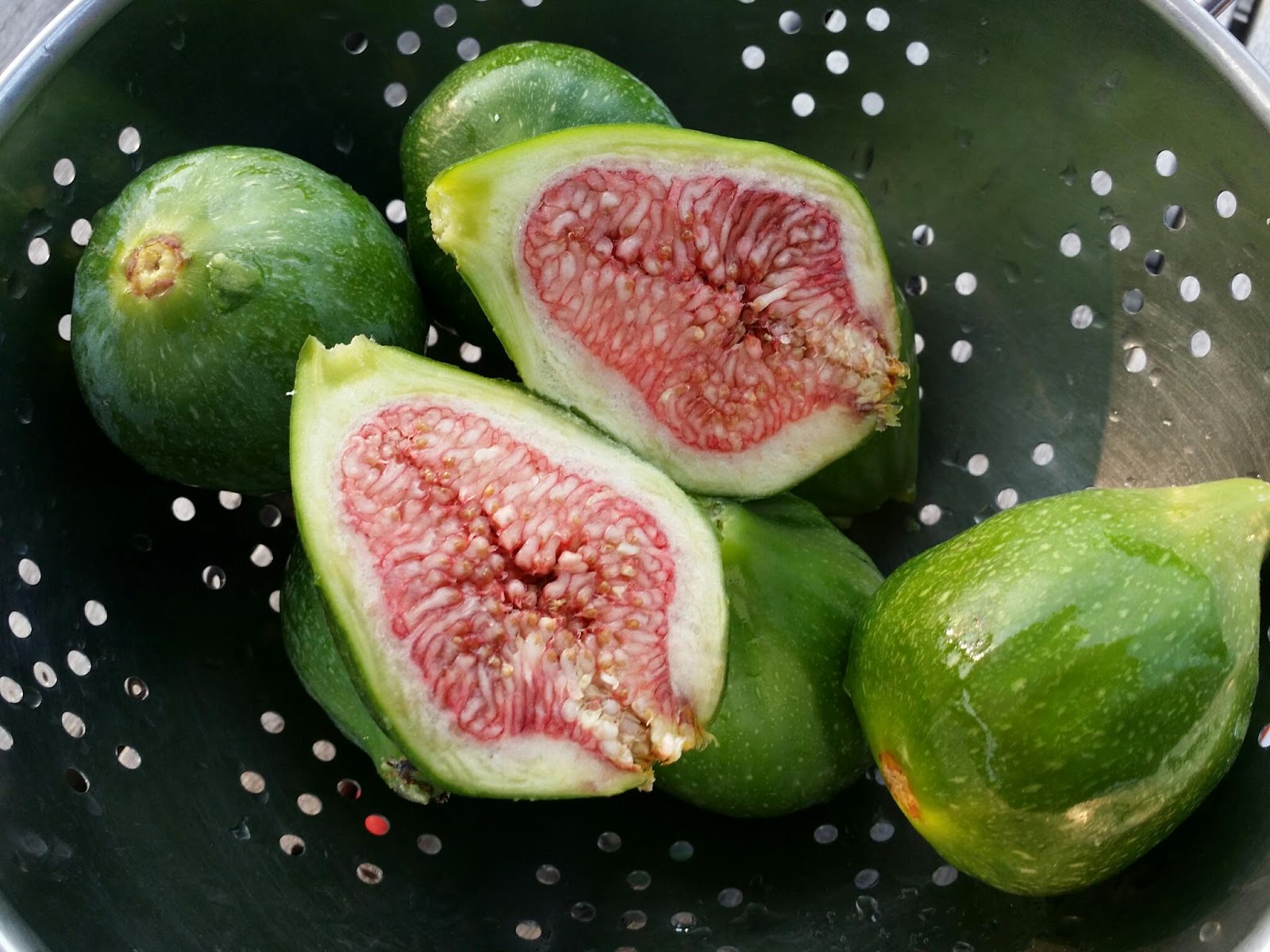 Seattle Garden & Fruit Adventures Fig of the week. 3 Desert King