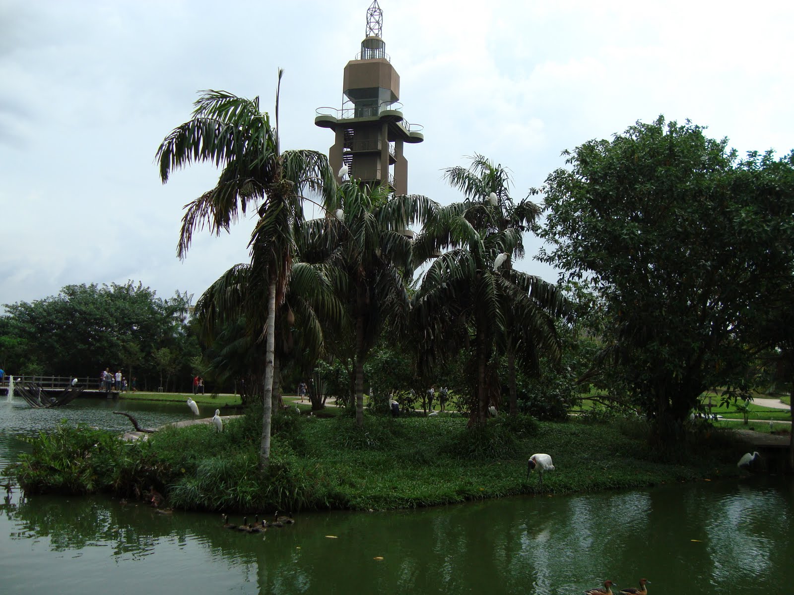 Viajando pelo Brasil Parque Mangal das Garças Belém do Pará Brasil.