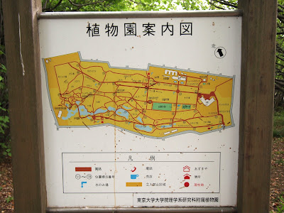 小石川植物園案内図
