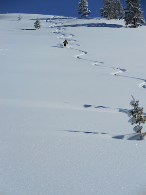 Backcountry skiing, Yellowstone National Park Backcountry skiing, Yellowstone National Park
