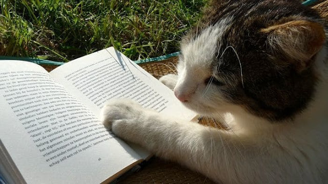 La croissance de l’apprenant à travers la lecture des romans. jpg
