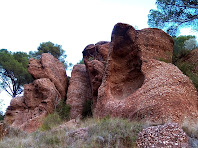 Exemple de conglomerats i gresos vermells del Buntsandstein, a sota de la Torre del Clos