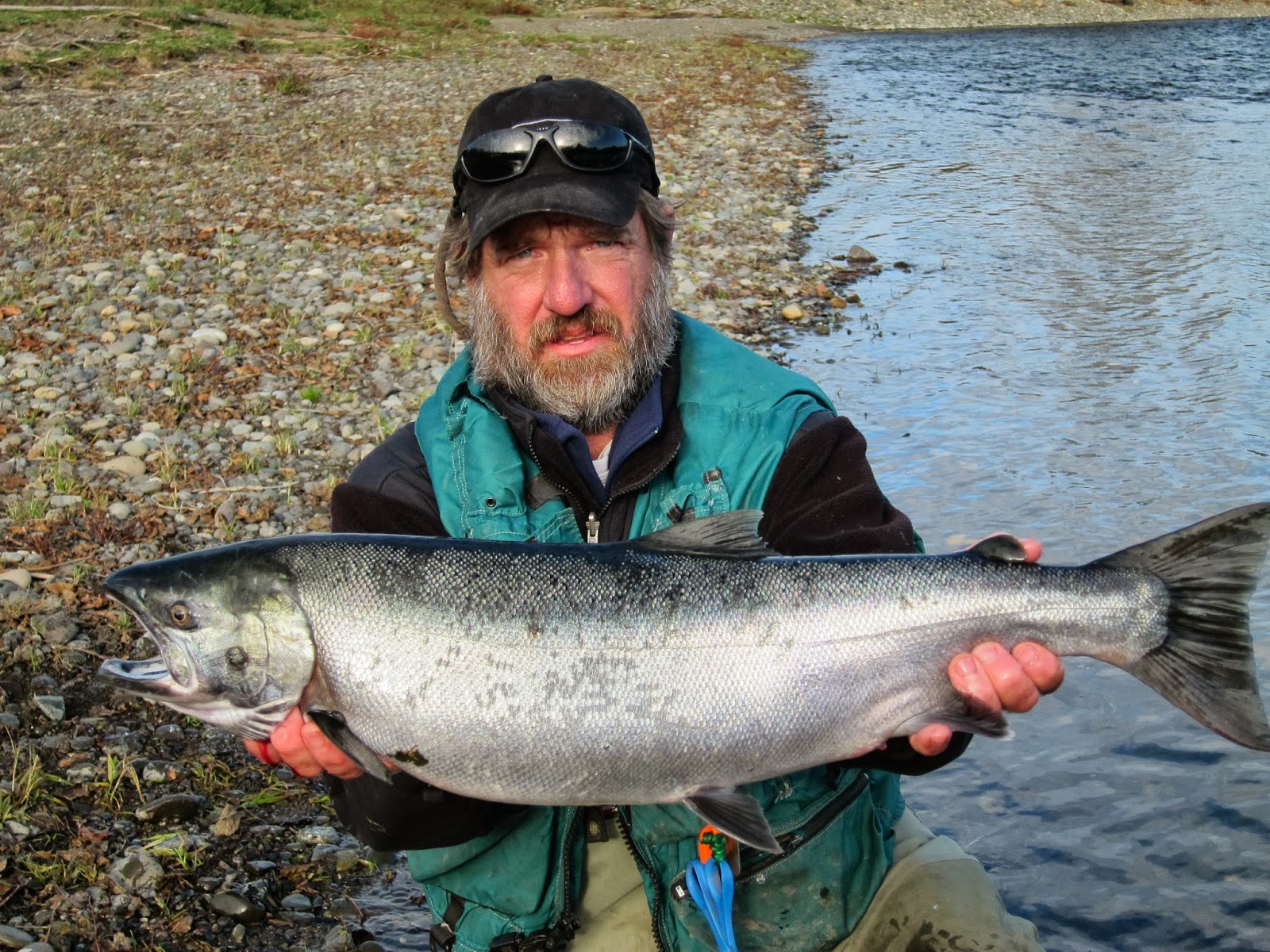 Todds Extreme Fishing Humptulips & Satsop Salmon