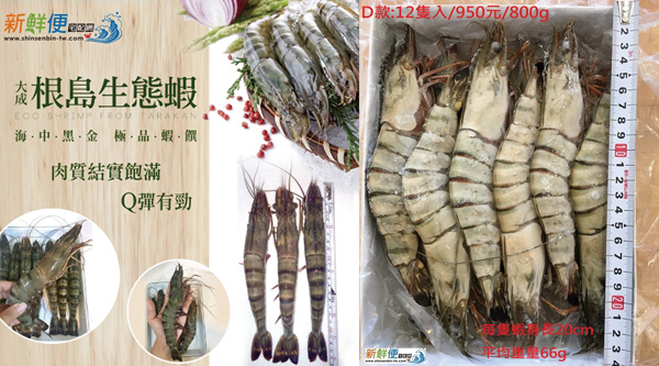 有生產履歷的大成根島生態蝦,不吃人工飼料絕無藥物污染,好Q彈!