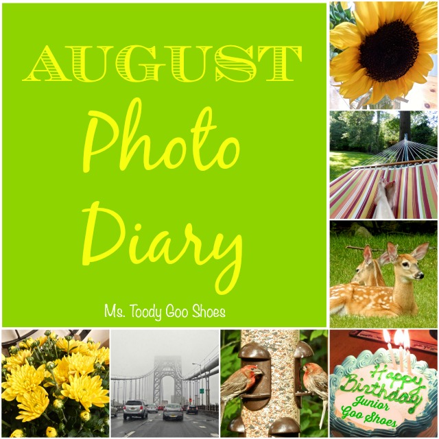 August Photo Diary  - Ms Toody Goo Shoes