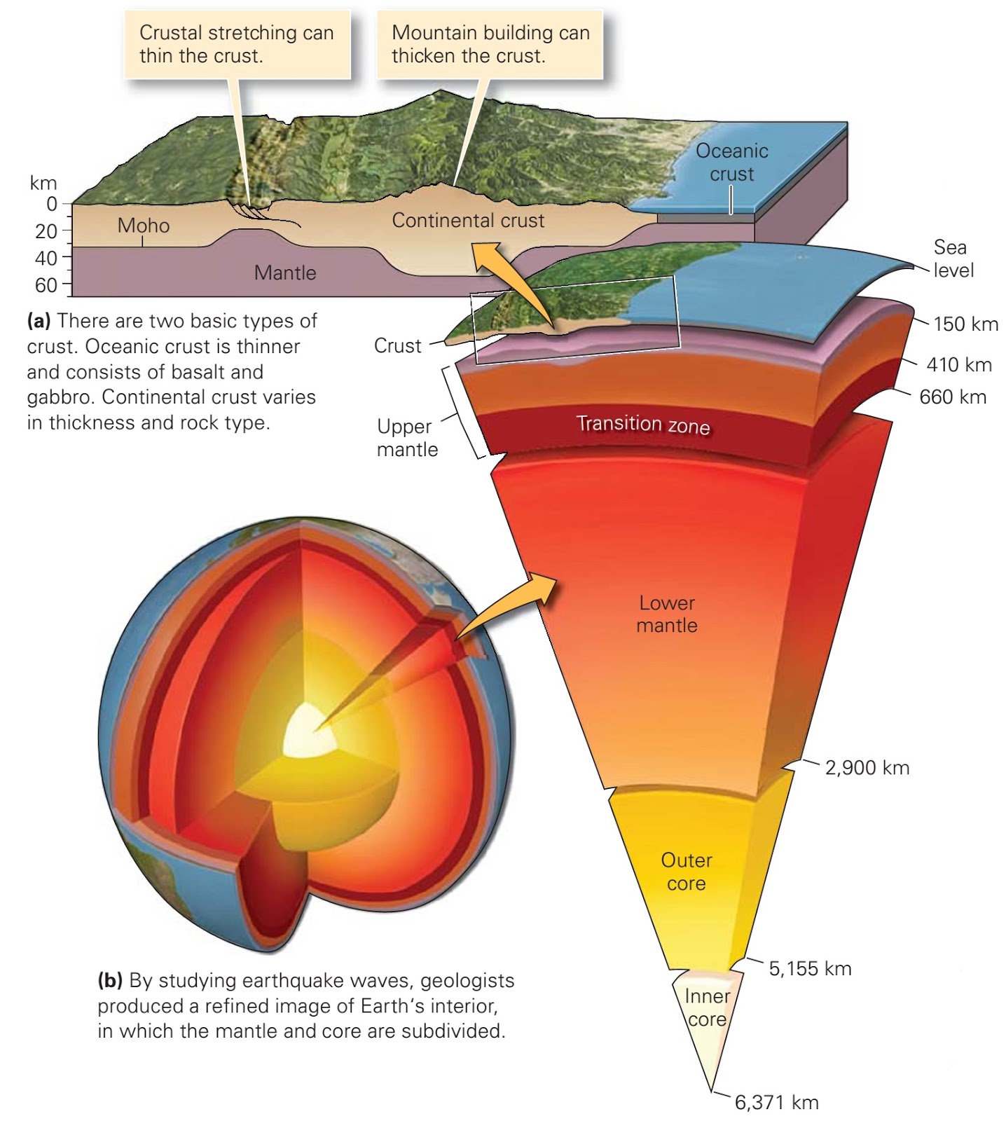 Collection 105+ Images how is earth’s interior like an apple? Superb