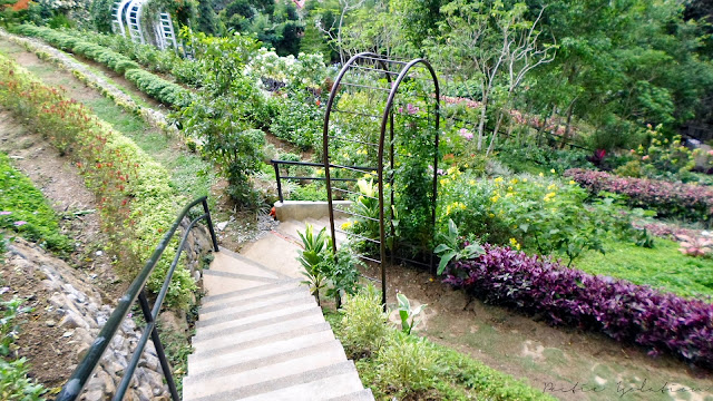 Terrazas de Flores Cebu Botanical Garden