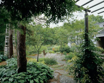  asla-tea-garden-3.jpg