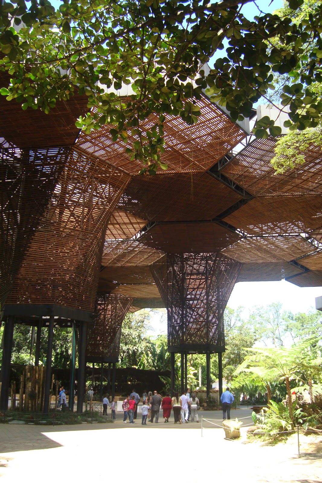 Jardín Botánico, ¿un espacio integrador