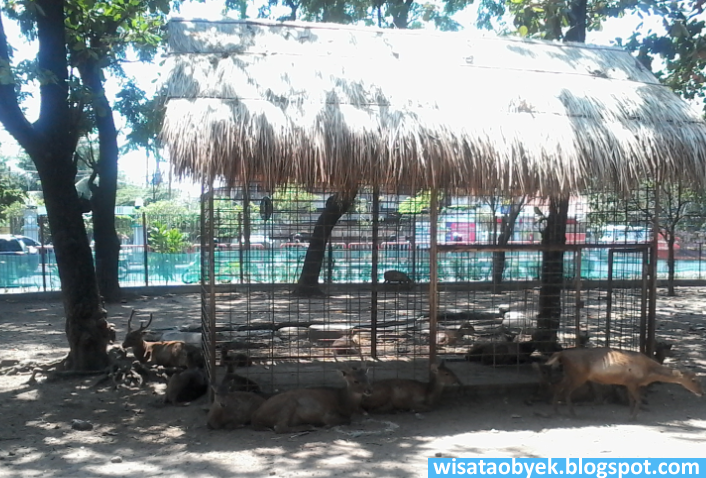 Taman Flora Wisata Murah Surabaya Taman Flora Wisata Murah Surabaya