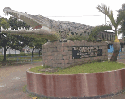 Taman Buaya Indonesia Jaya Taman Buaya Indonesia Jaya