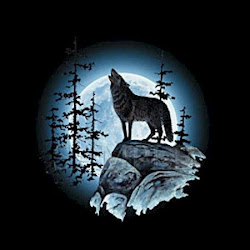 wolf howling moon wolves werewolf coyote forest pack drawings cemetery blood howl night stephanie sharon author oliver presents nightingale sky