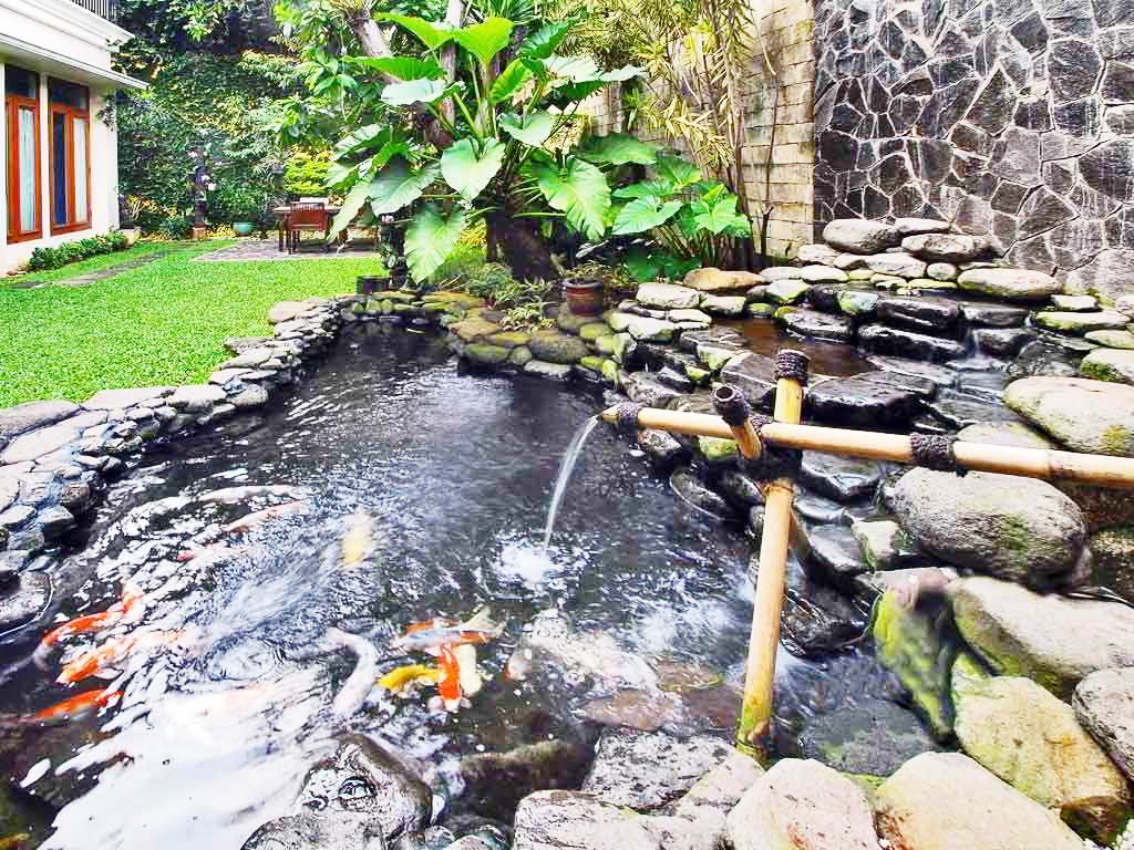 Jenis Kolam Ikan - Akuarium Ikan Hias