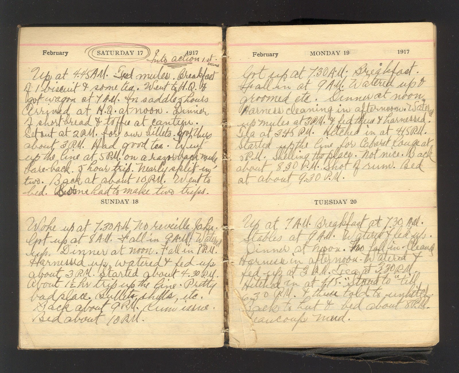 WW1 Diaries and Letters of a Teen Canadian Soldier Into Action 1st