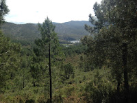 Meandro Melero, marcha al Meandro Melero, pista forestal, Cáceres, Salamanca, Río Alagón