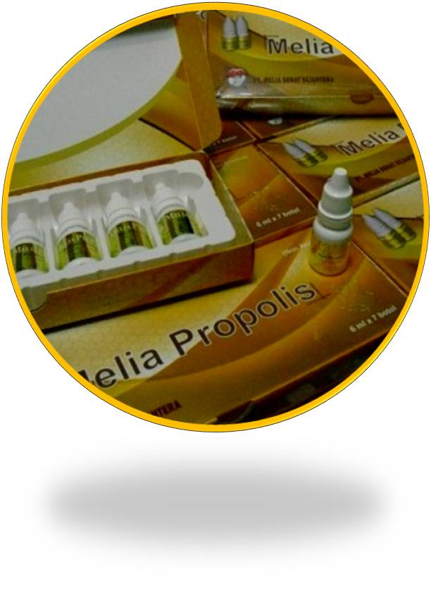 PT.MSS MELIA PROPOLIS