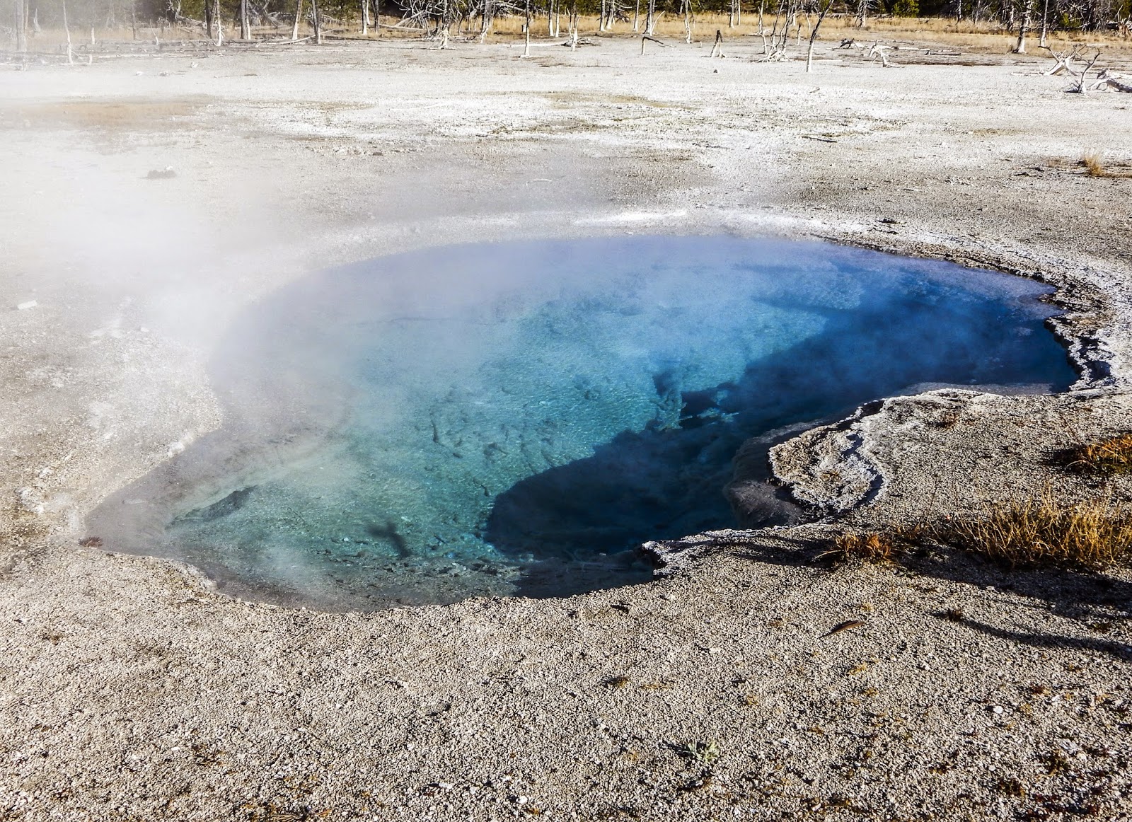 Walking Arizona Avoca Spring
