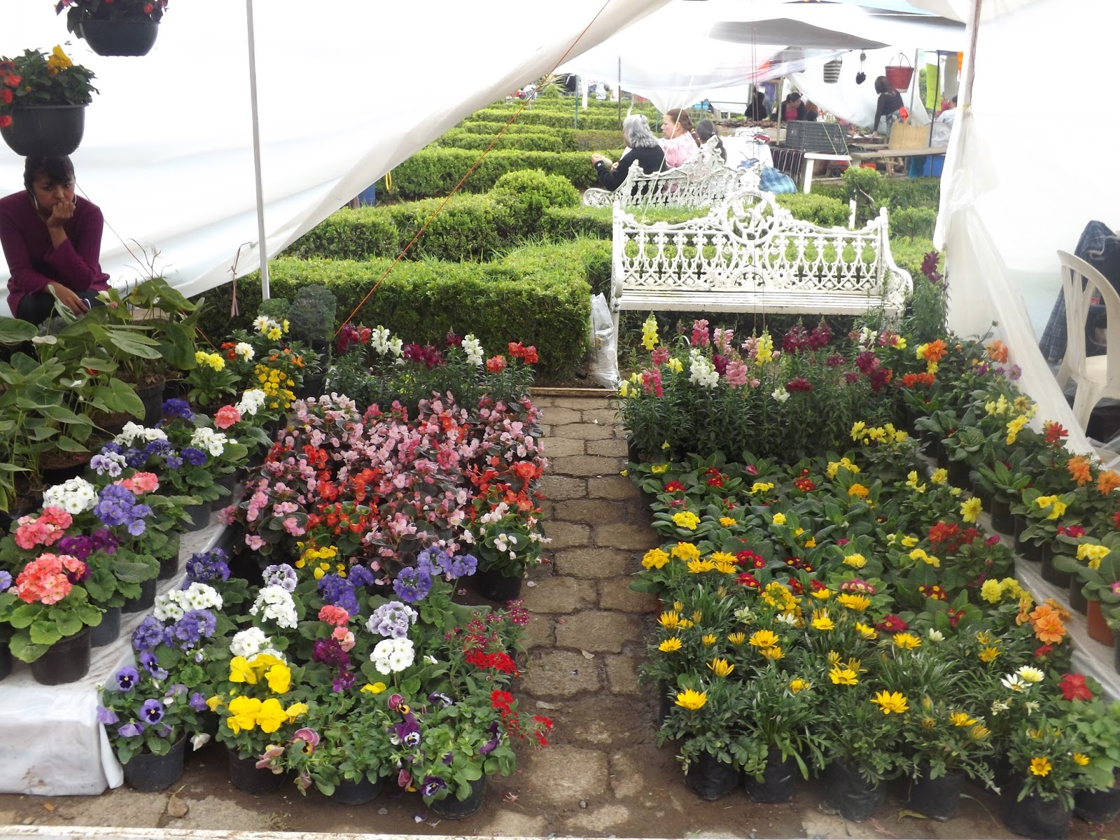 INDEPENDIENTE NOTICIAS: Tenango de las Flores gran atractivo turístico