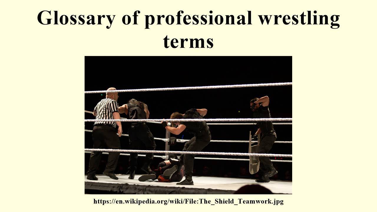 Glossary of professional wrestling terms