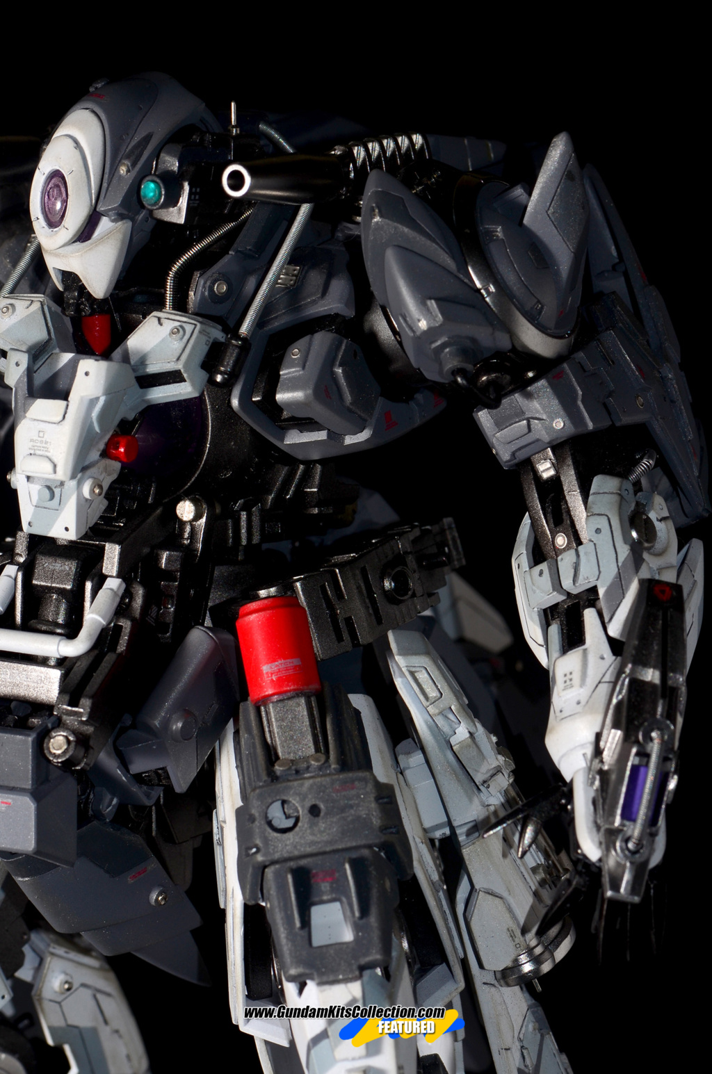 Custom Build: MG 1/100 ESF GNX 606T Dominator