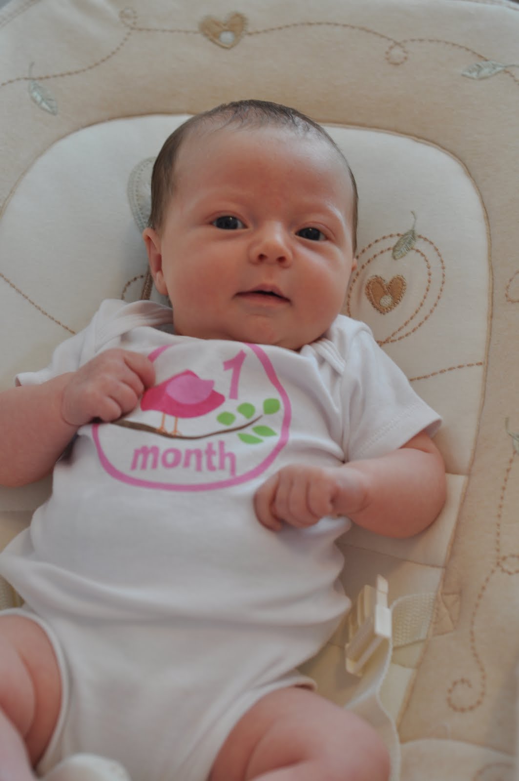 This Crazy Little Life of Ours One Month Old