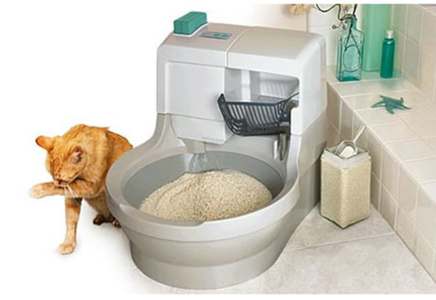 Caja Arena Automática Gatos