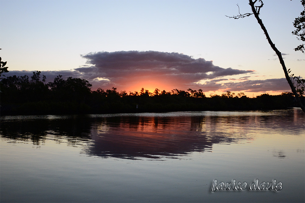 thoughts & happenings Richmond River, Ballina. Queensland.