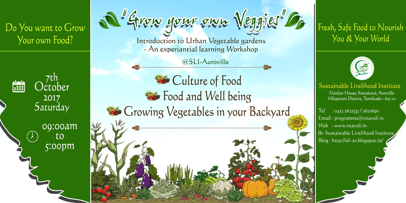 sustainable livelihood institute introduction
