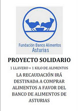 PROYECTO SOLIDARIO