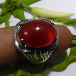 cincin mustika sulaiman, rajah cincin sulaiman, cincin sulaiman dan garis matahari, mustika sulaiman junjung drajat, mustika raja kekayaan, mustika khodam pendamping kekayaan, keberadaan cincin nabi sulaiman, mustika kekayaan nabi sulaiman, cincin rajah khatim sulaiman, batu mustika, batu mustika tarikan, mustika tarikan, mustika geliga, geliga mistik, buntat, geliga sulaiman, batu mustika asli, mustika bertuah, pusaka bertuah, pusaka tarikan, pusaka mistik , barang mistik, barang bertuah, barang koleksi, koleksi mistik, koleksi bertuah, ajian mantra, mustika sulaiman asli, batu sulaiman, merah delima,mustika merah delima, mustika asli,merah delima asli, mustika raja sulaiman, mustika raja malaysia, mustika raja brunei, mustika raja