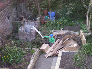 domestic bonfire with wood and ivy for burning