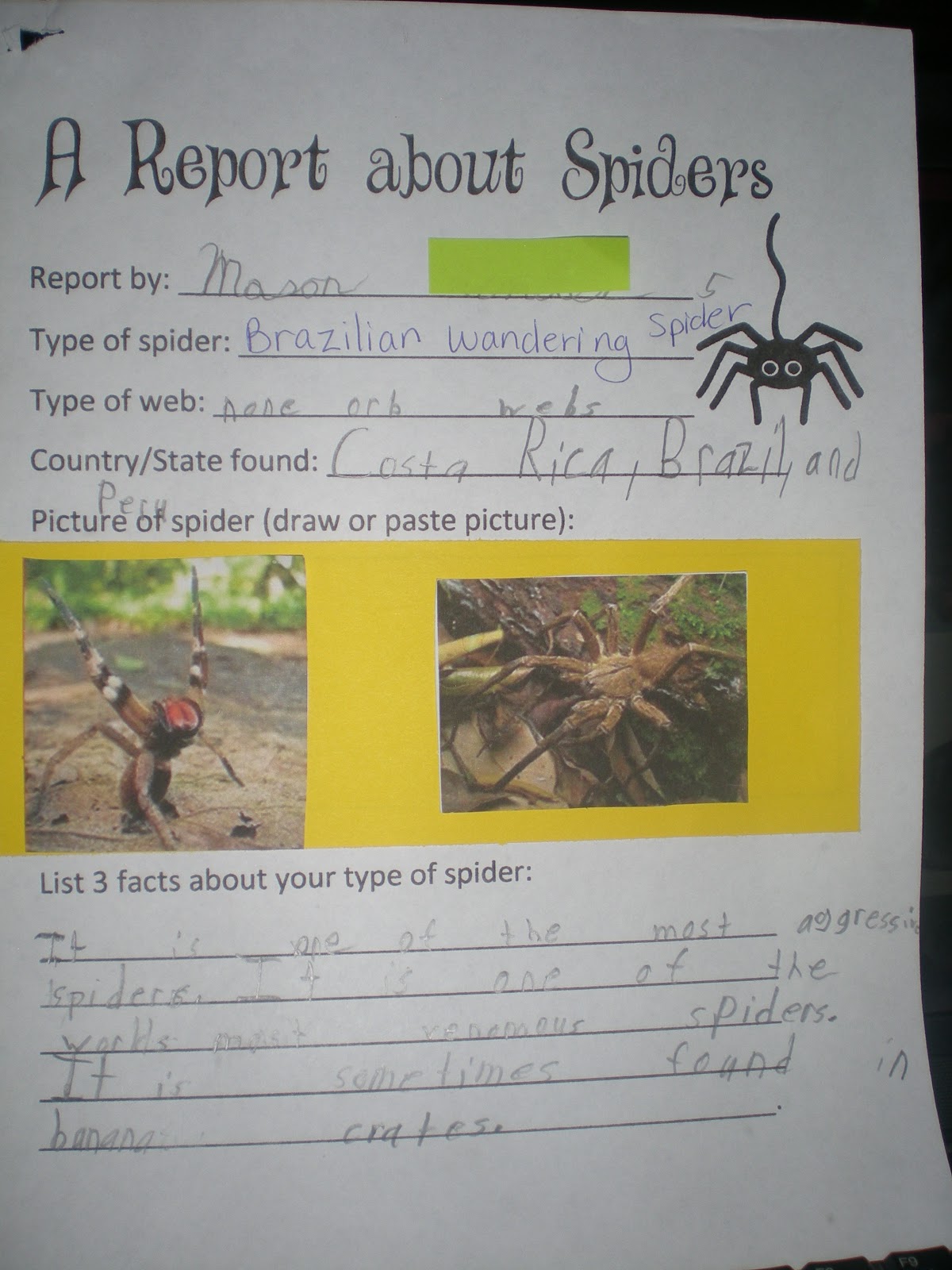 Hot topics in the swine industry image