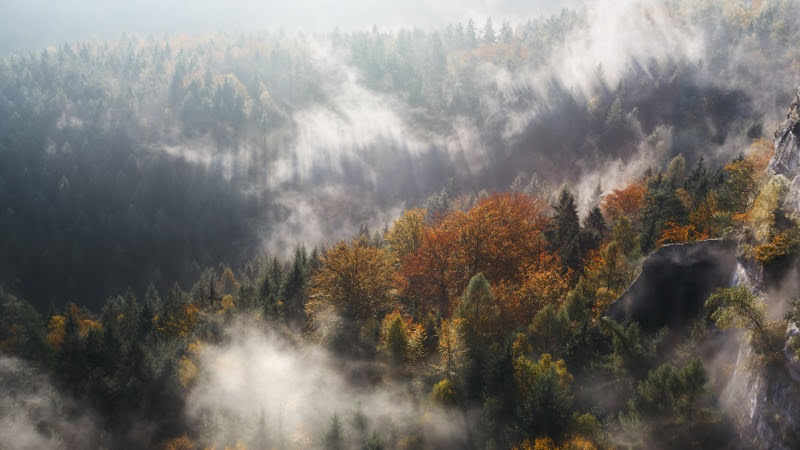 Landscape seen at Sunrise