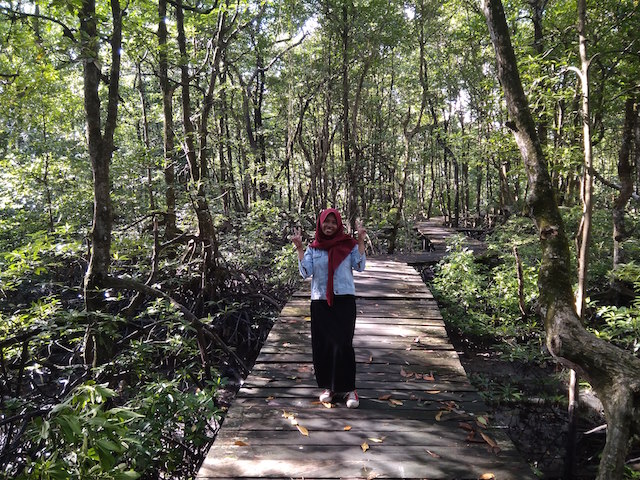 Hutan Mangrove Tarakan