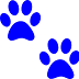 Primeiros socorros para cães e gatos - Amy D. Shojai - Resenha