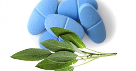 Panax ginseng vs viagra