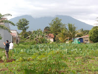 jual rumah lelang di bogor, jual rumah di nuansa asri laladon bogor, jual rumah di mutiara bogor raya, rumah di mbr bogor dijual, rumah dijual di montecarlo bogor, jual rumah sejuk di bogor murah, jual rumah di bogor dp murah, rumah dijual di villa mutiara bogor, jual rumah di kayu manis bogor, jual rumah di pasir mulya bogor jual rumah di babakan madang bogor, jual rumah di gang menteng bogor, jual rumah di griya melati bogor, jual rumah di orchid mansion bogor, rumah dijual di perumahan mutiara bogor raya, jual rumah di villa mutiara bogor 1, jual rumah murah di mekar wangi bogor, rumah dijual di mulyaharja bogor, rumah dijual di megamendung bogor, rumah dijual di bogor nirwana