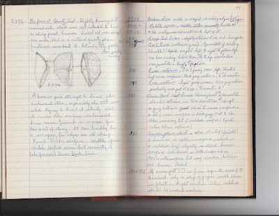 small%2Bjournal%2B3%2Bcopy.jpg