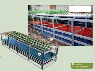 Model aquaponik tunggal DFT Model aquaponik tunggal DFT