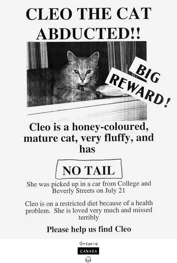 Missing Pet Posters