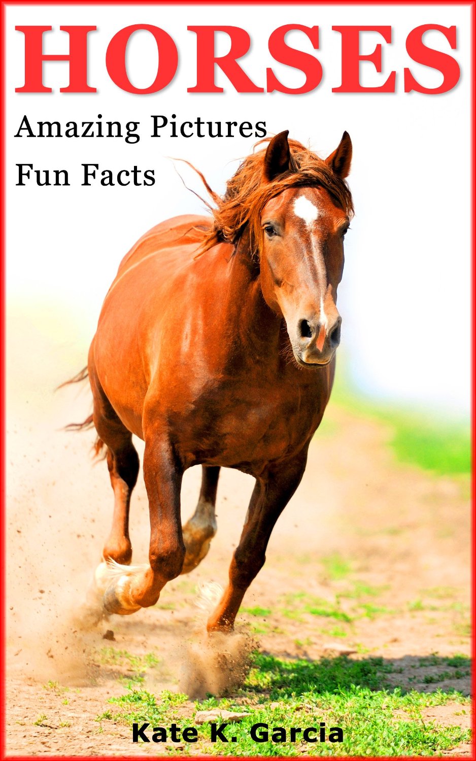 Allergy Kid Mom's Book Reviews Horses Kids book of fun facts